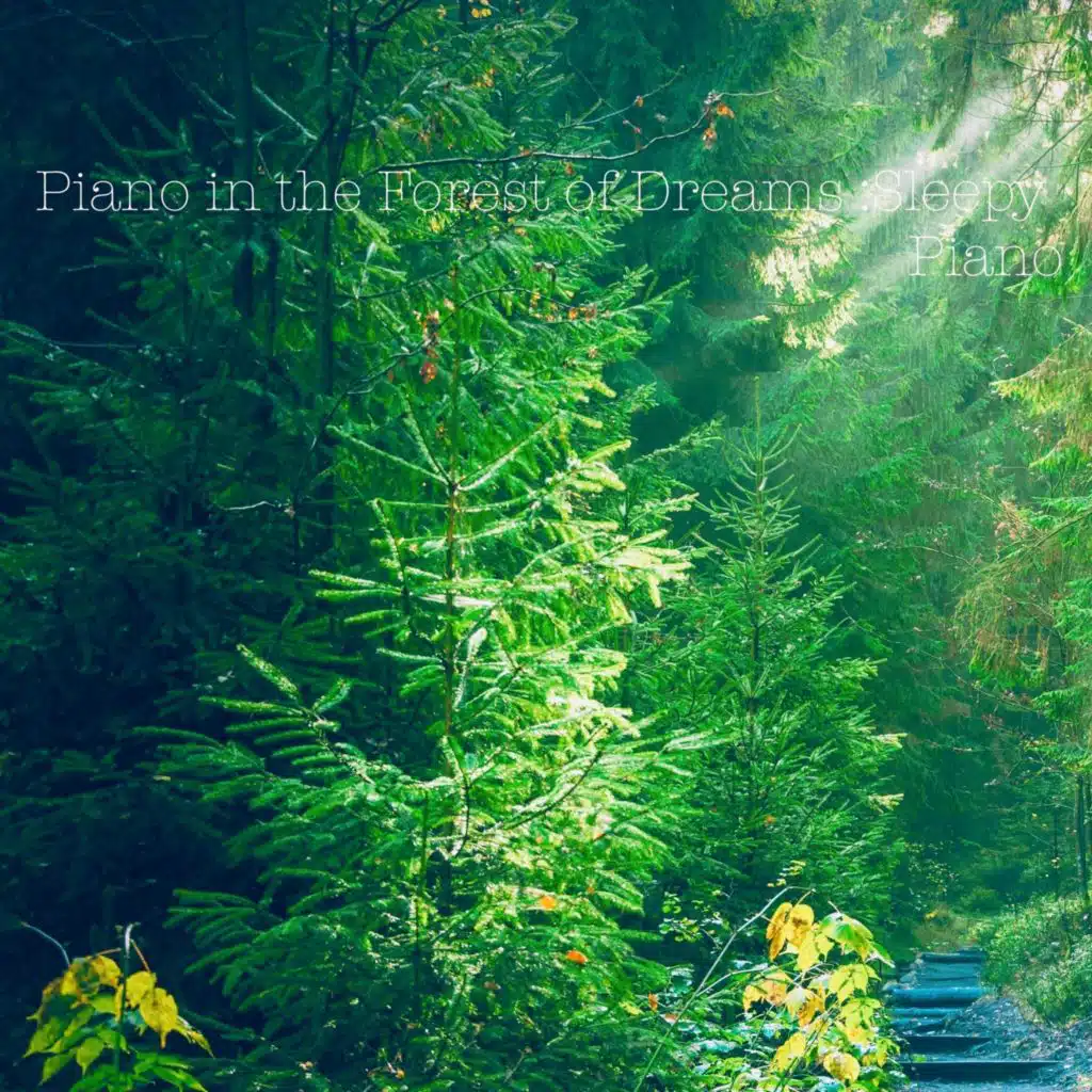 Piano in the Forest of Dreams ～Sleepy Piano～