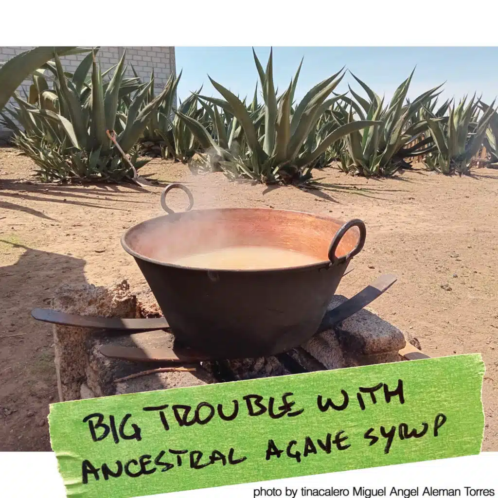 Big trouble with ancestral agave syrup