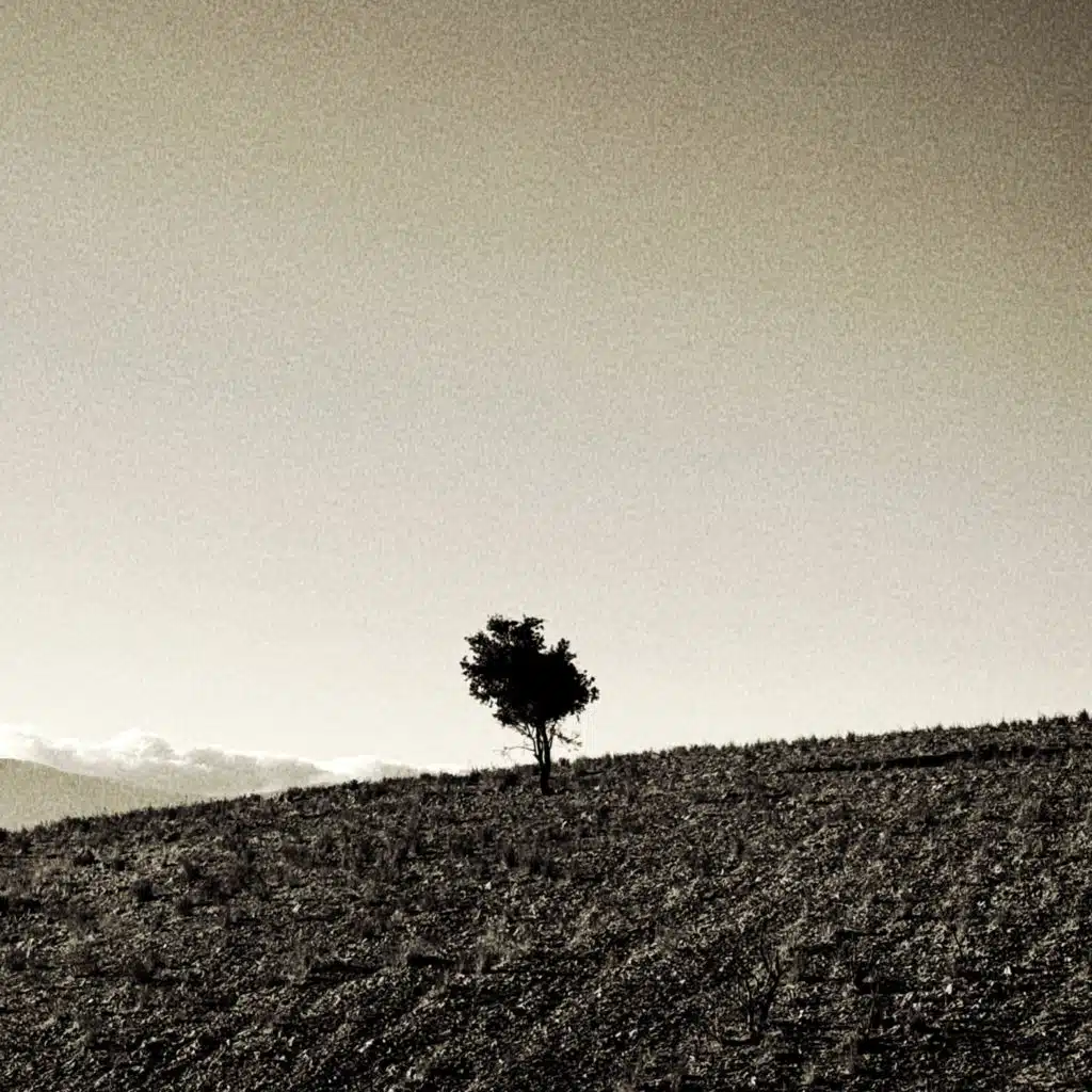 I'll Be Home (feat. Melmo)