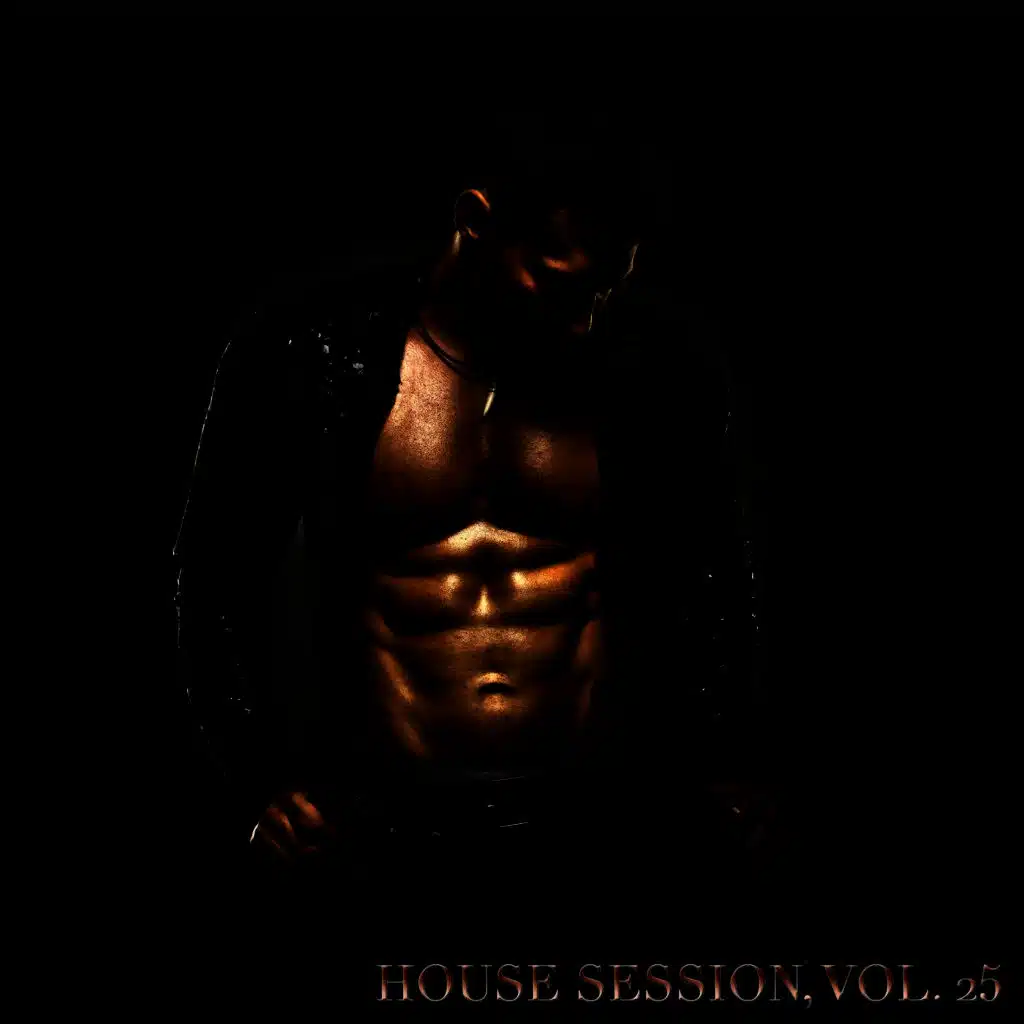 House Session, Vol. 25