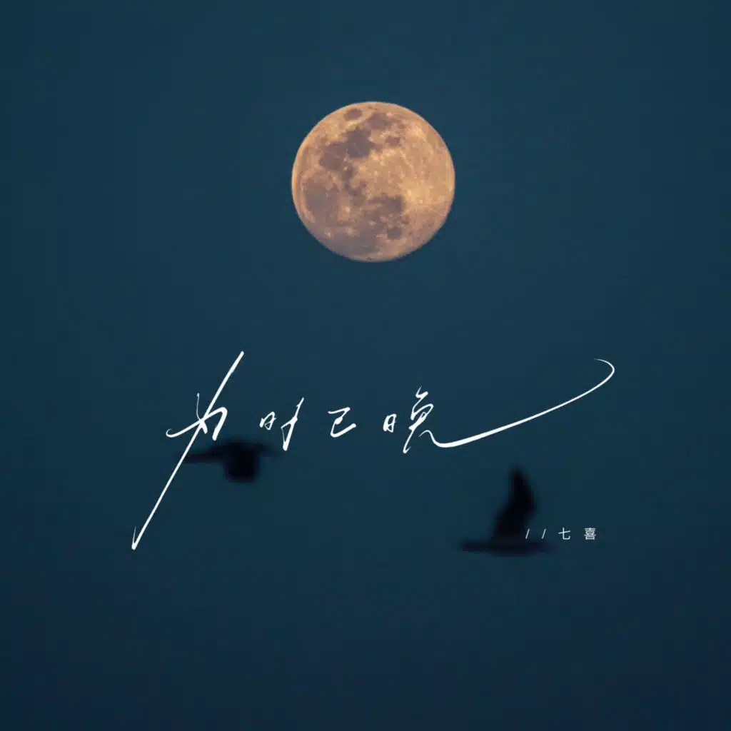 为时已晚 (国语DJ版) [feat. DJ二先生]