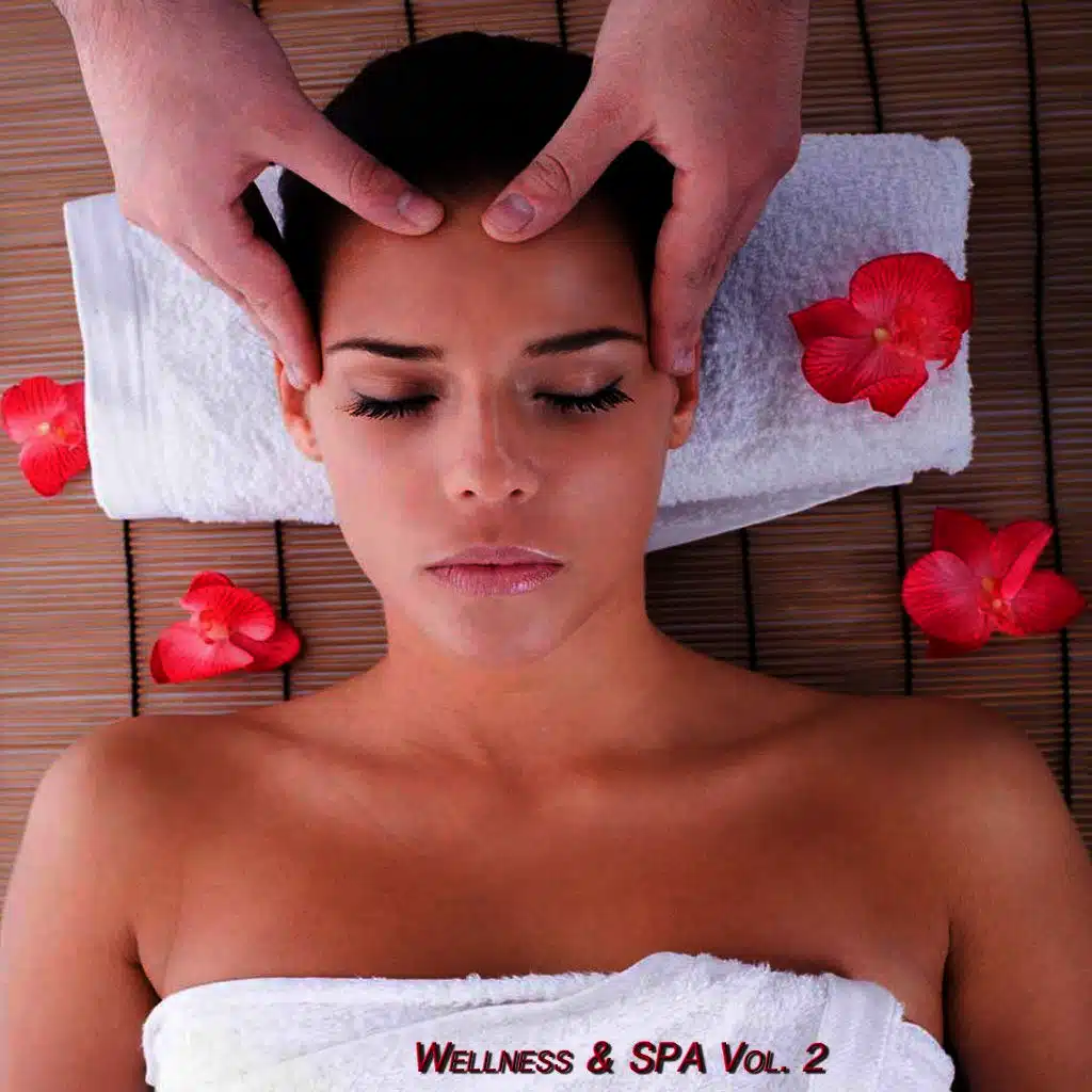 Wellness & Spa, Vol. 2