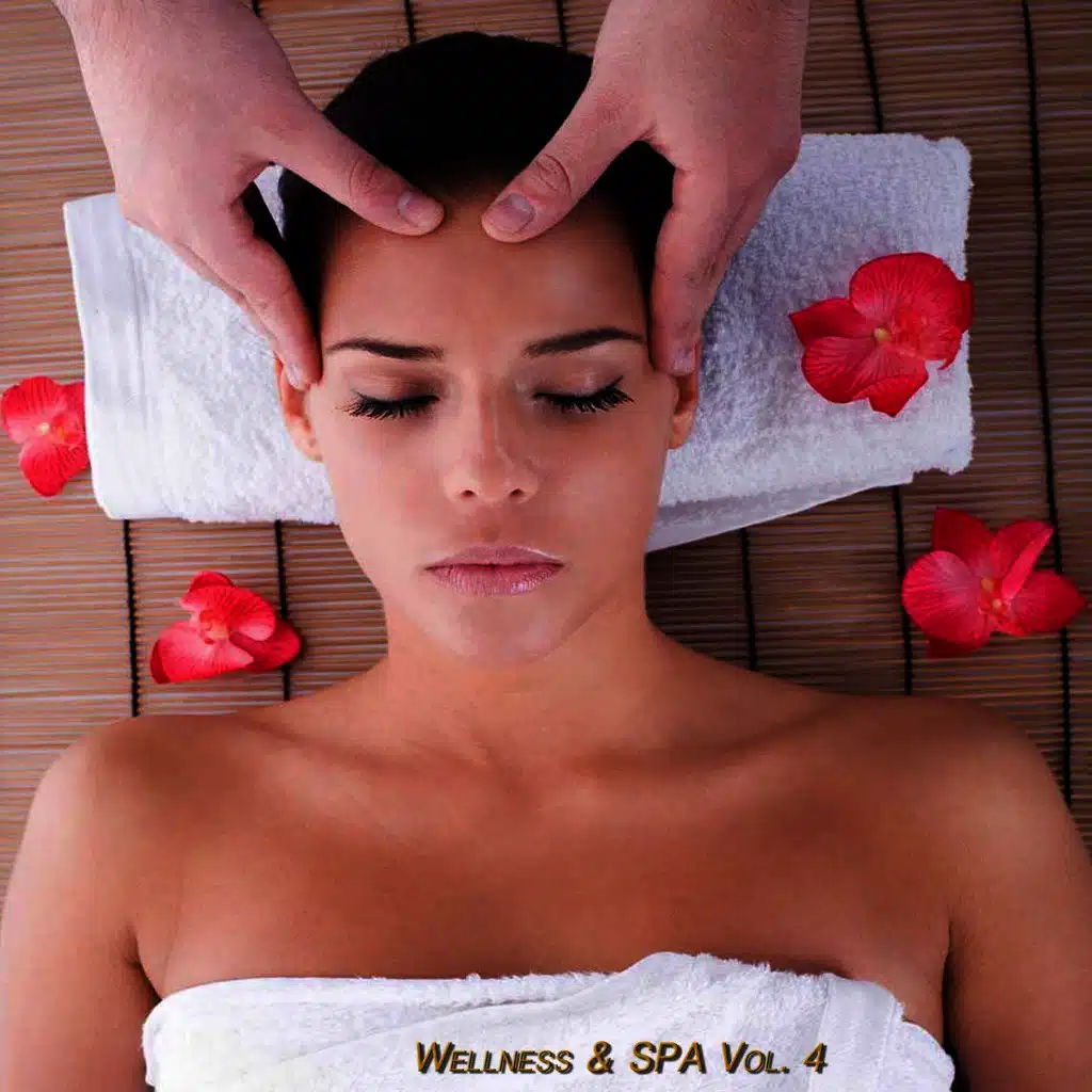 Wellness & Spa, Vol. 4