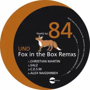 Fox in the Box Remxs