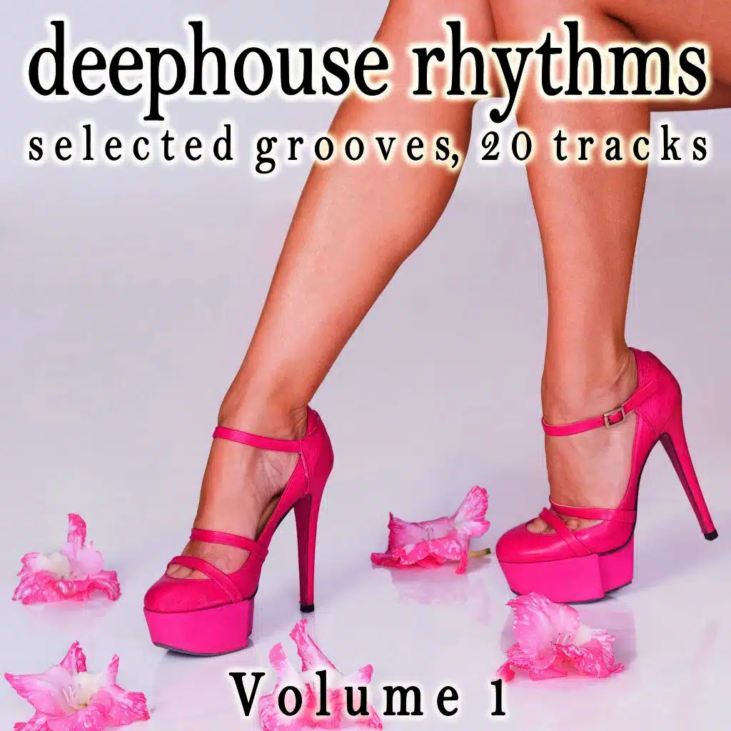 Deephouse Rhythms, Vol. 1