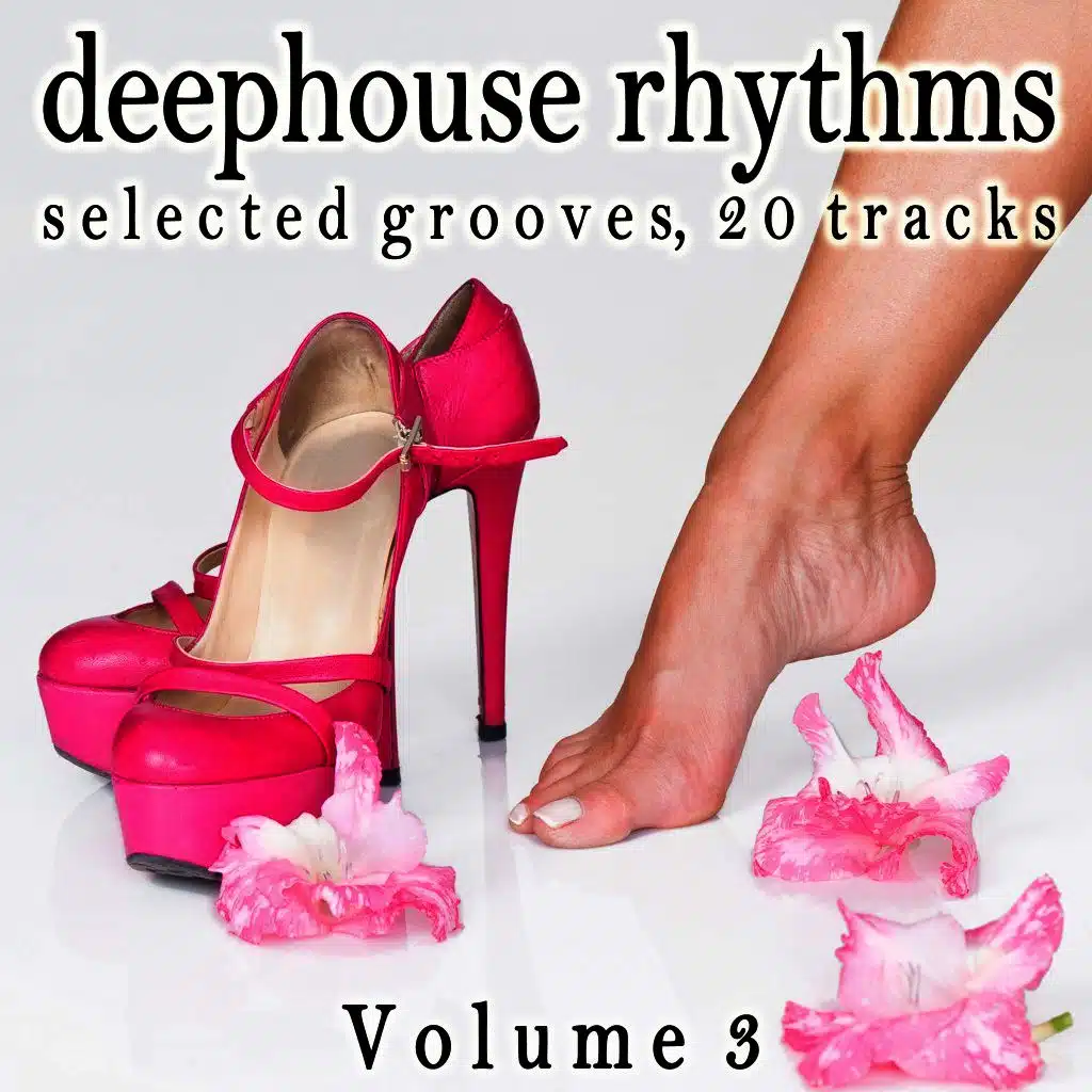 Deephouse Rhythms, Vol. 3