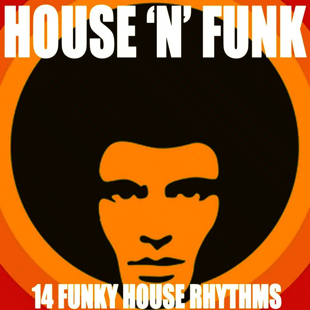 House 'n' Funk