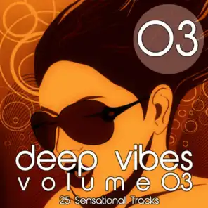 Deep Vibes, Vol. 3
