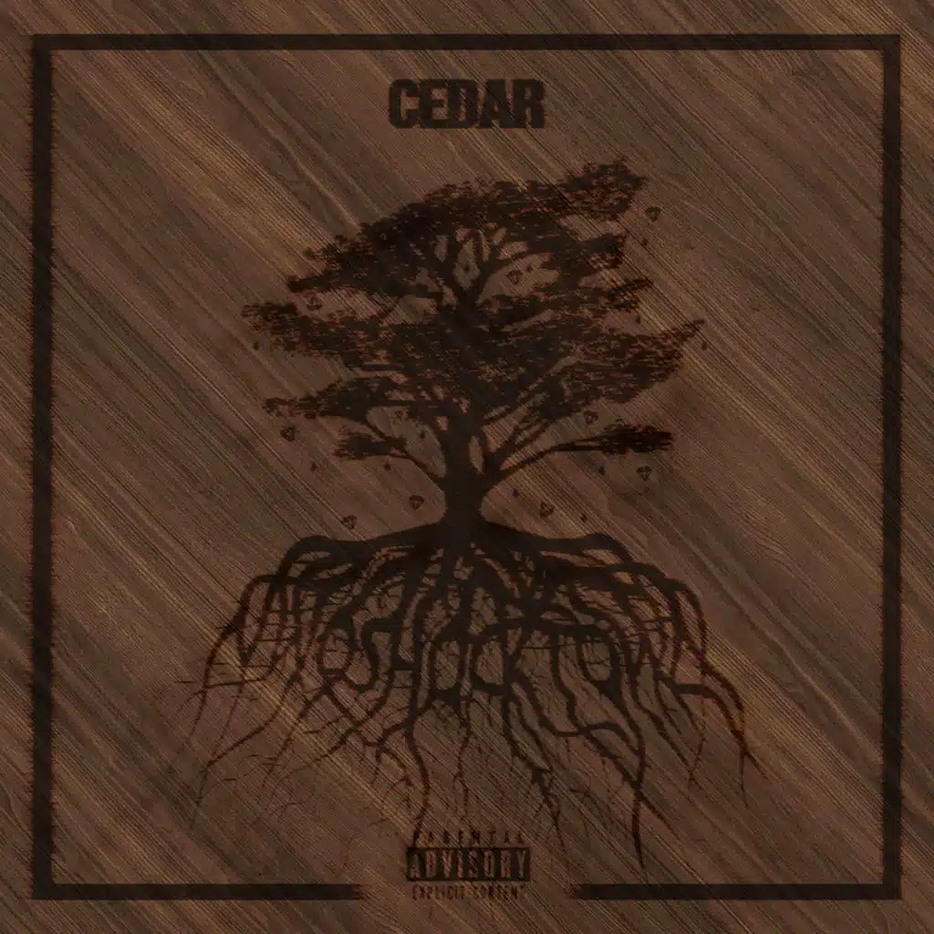 CEDAR