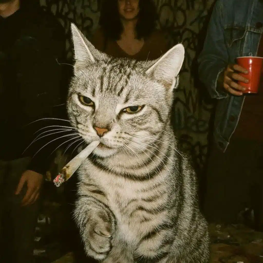 (Ureleased trap files) 4 THE GAME