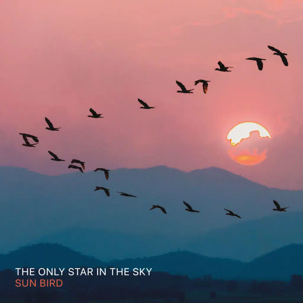 The Only Star In The Sky