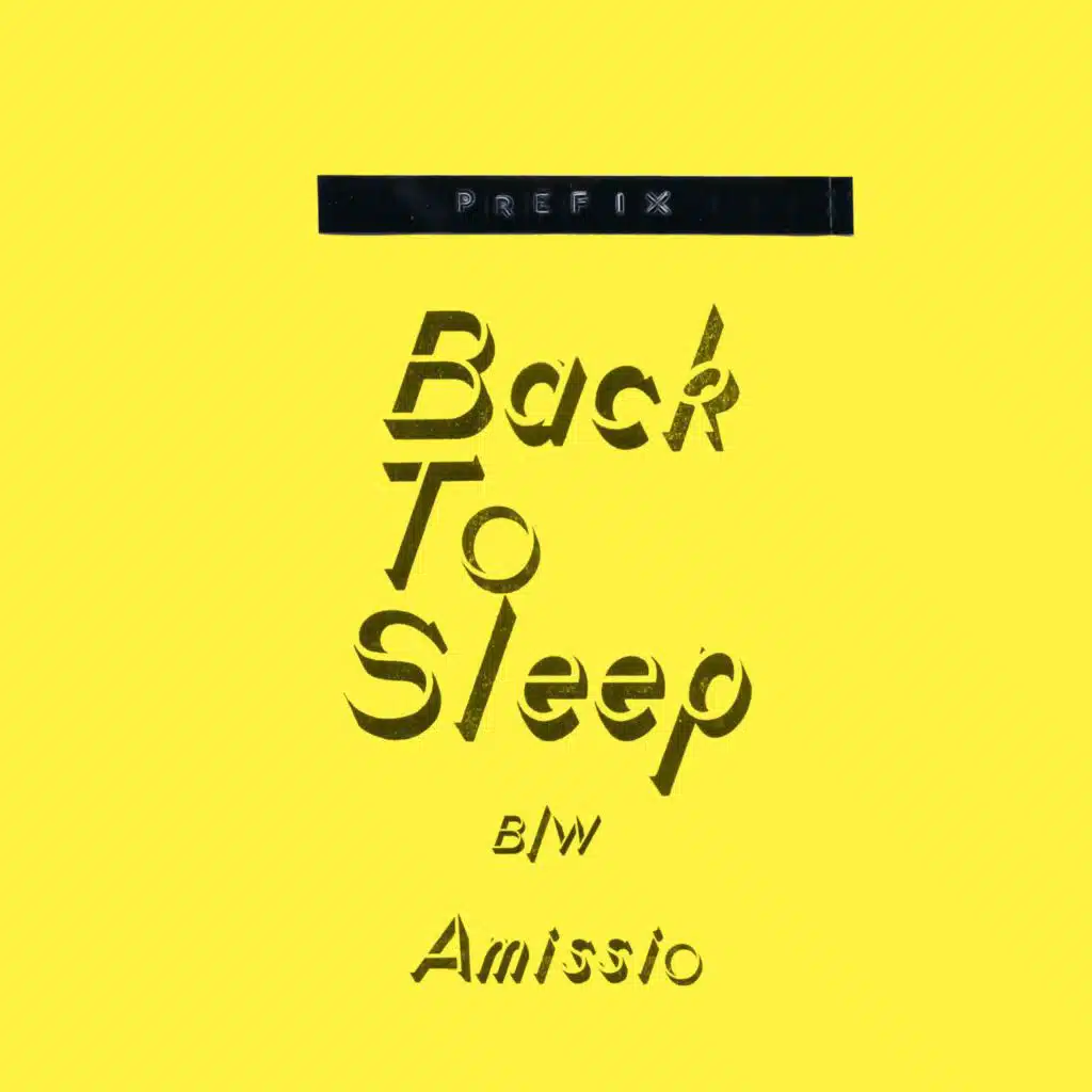 Back to Sleep b/w Amissio