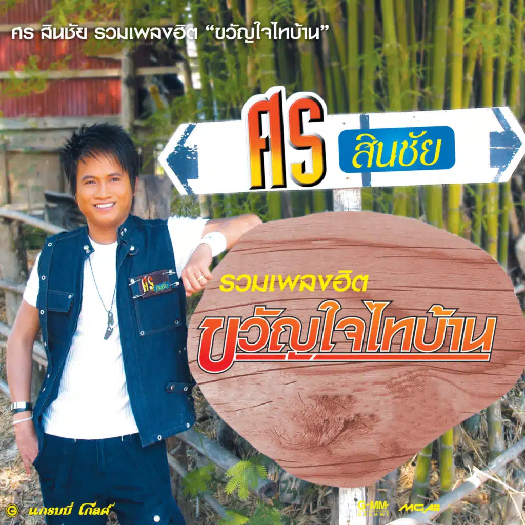รวมเพลงฮิต ขวัญใจไทบ้าน