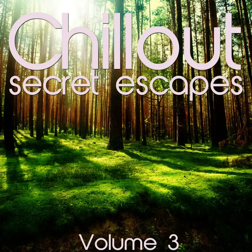 Feel the Resonance (Chillin Bar Mix)