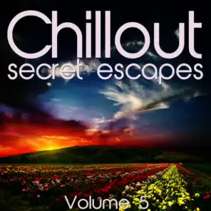 Chillout: Secret Escapes, Vol. 5