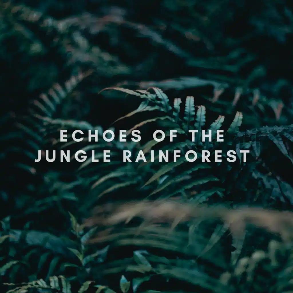 Echoes of the Jungle Rainforest