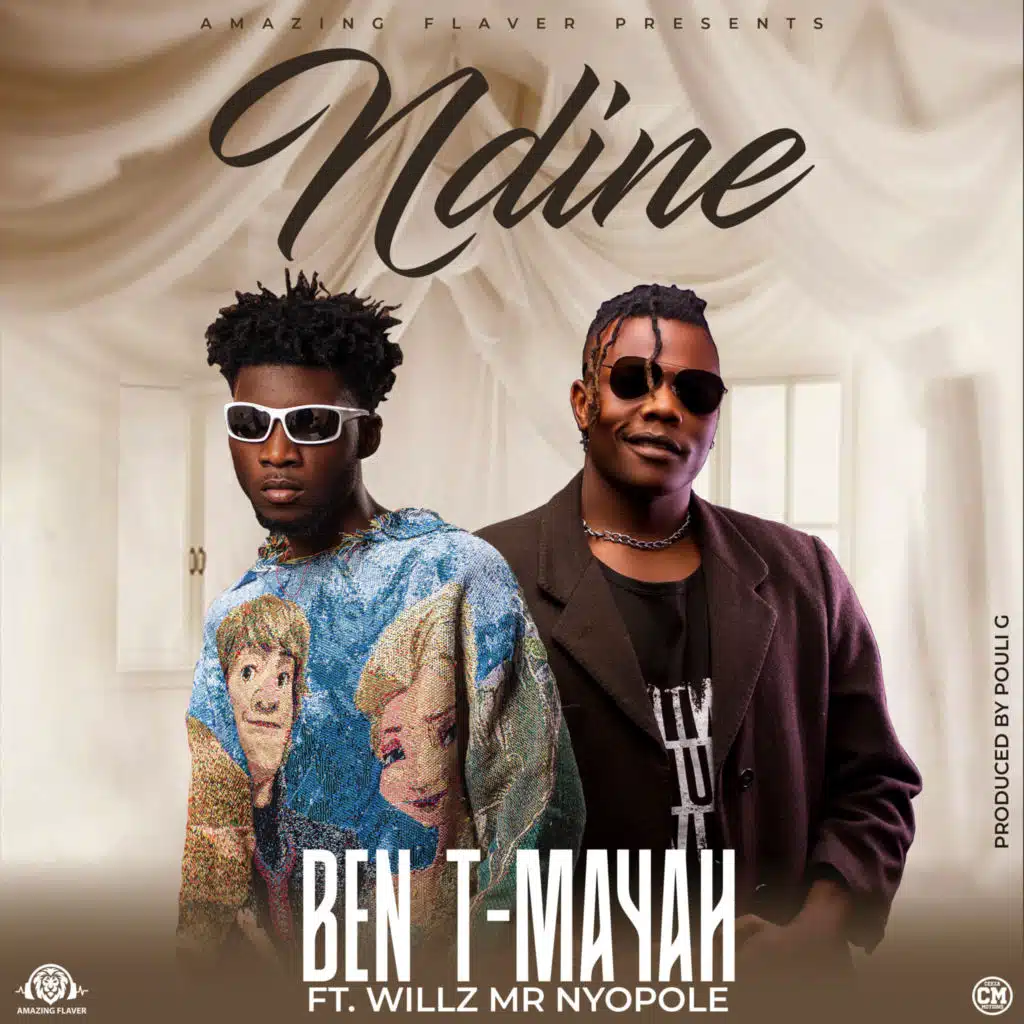 Ndine (feat. Willz Mr Nyopole)