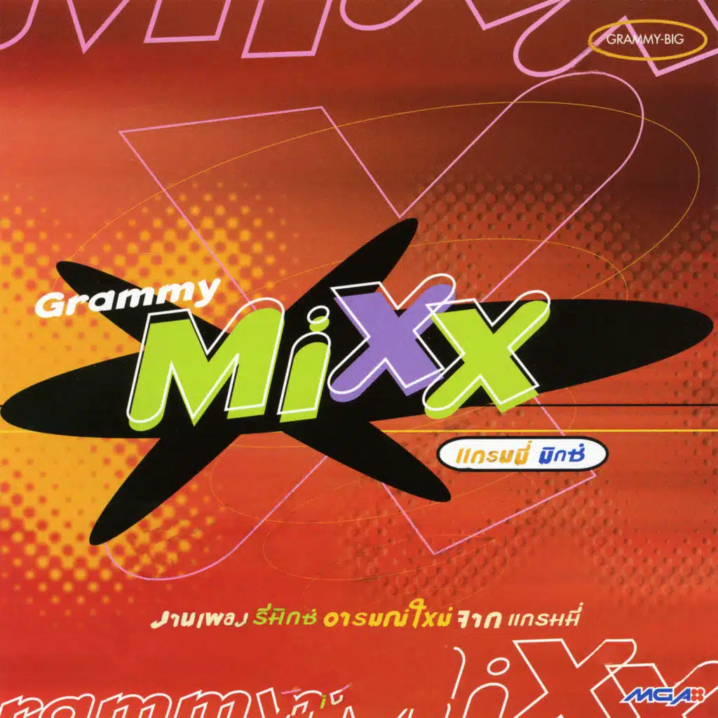 เจ้าทุยอยู่ไหน (Remix)