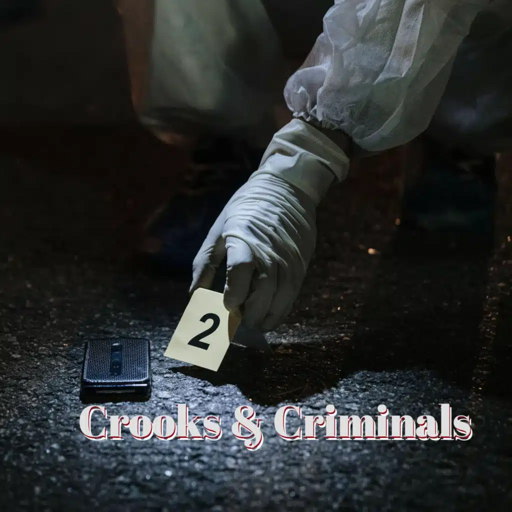 Crooks N Criminals
