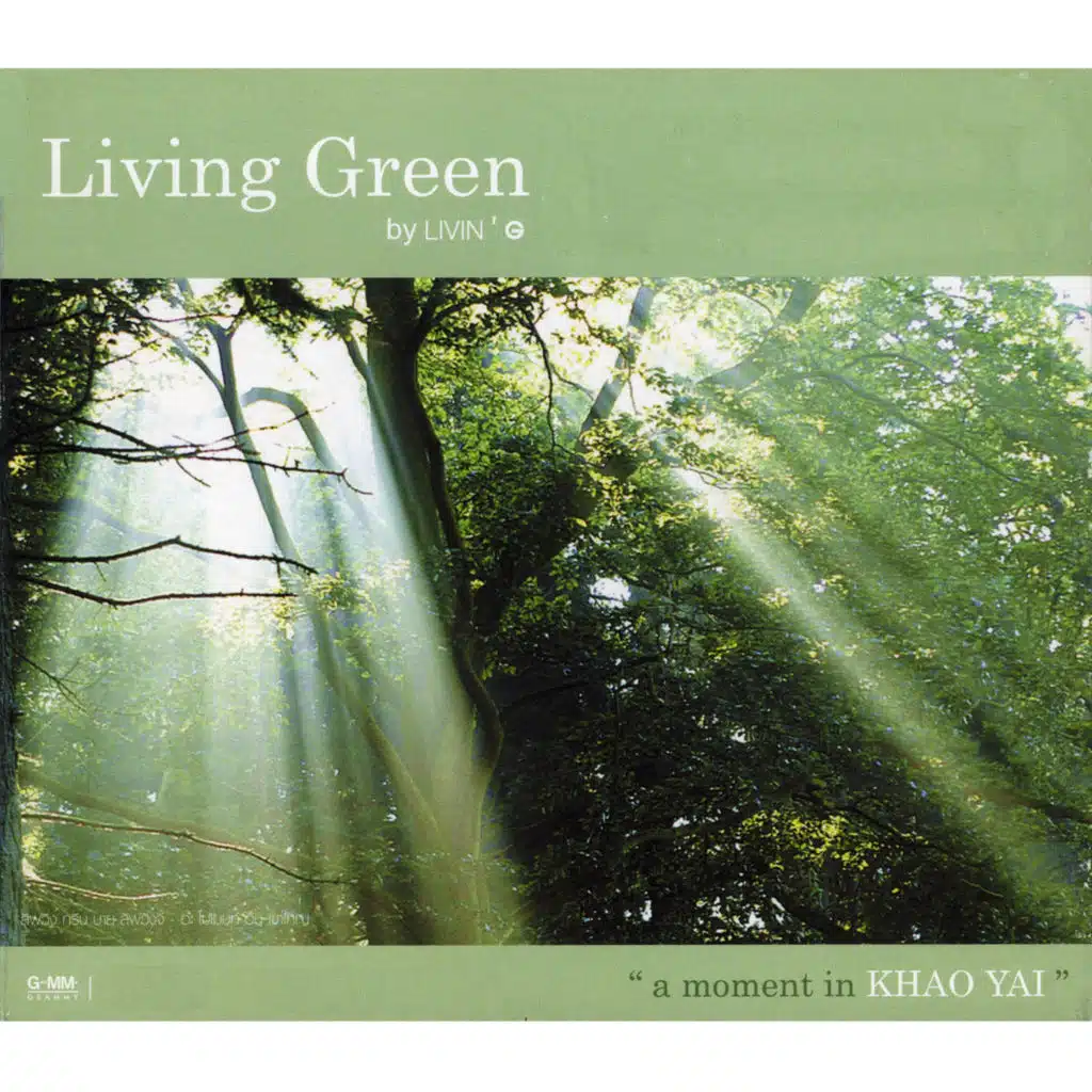 ความทรงจำสีจาง