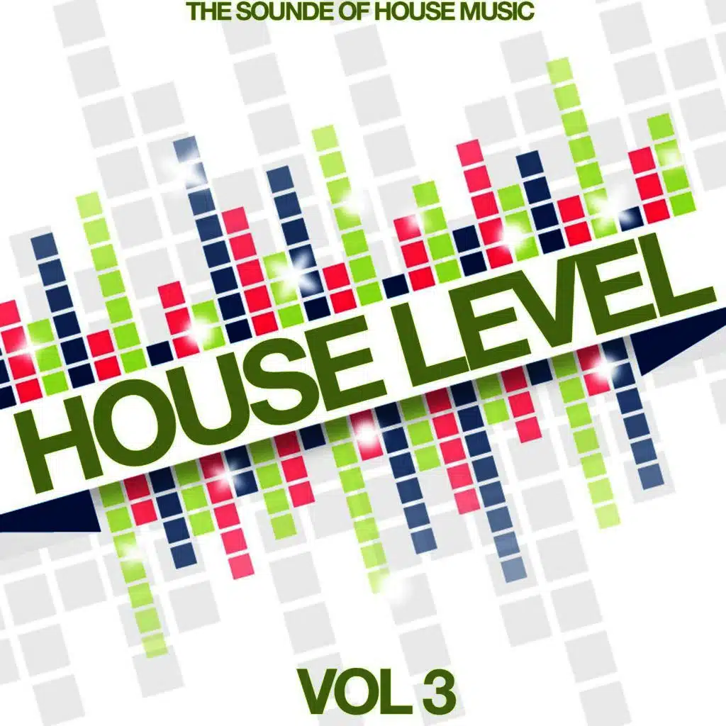 House Level, Vol. 3