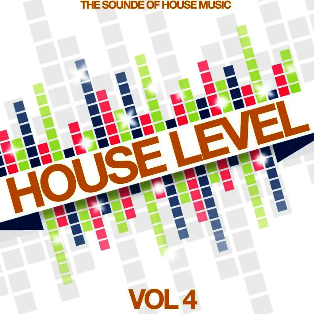 House Level, Vol. 4