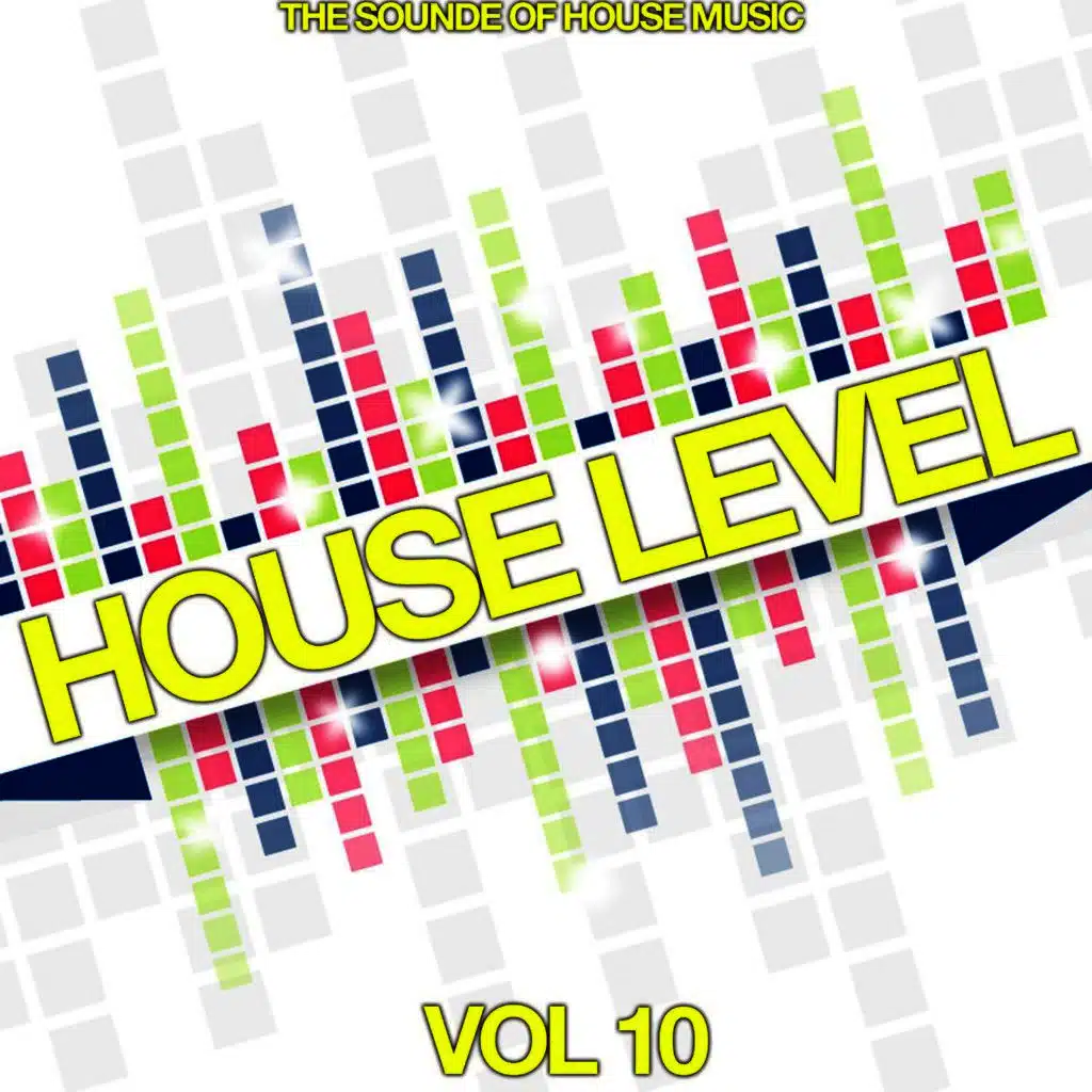 House Level, Vol. 10