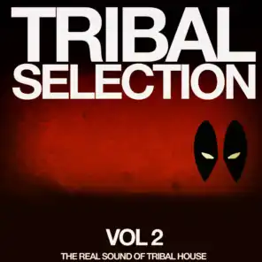 Tribal Selection, Vol. 2