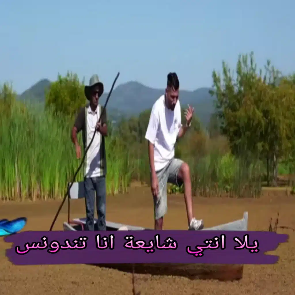 يلا انتي شايعة انا تندونس
