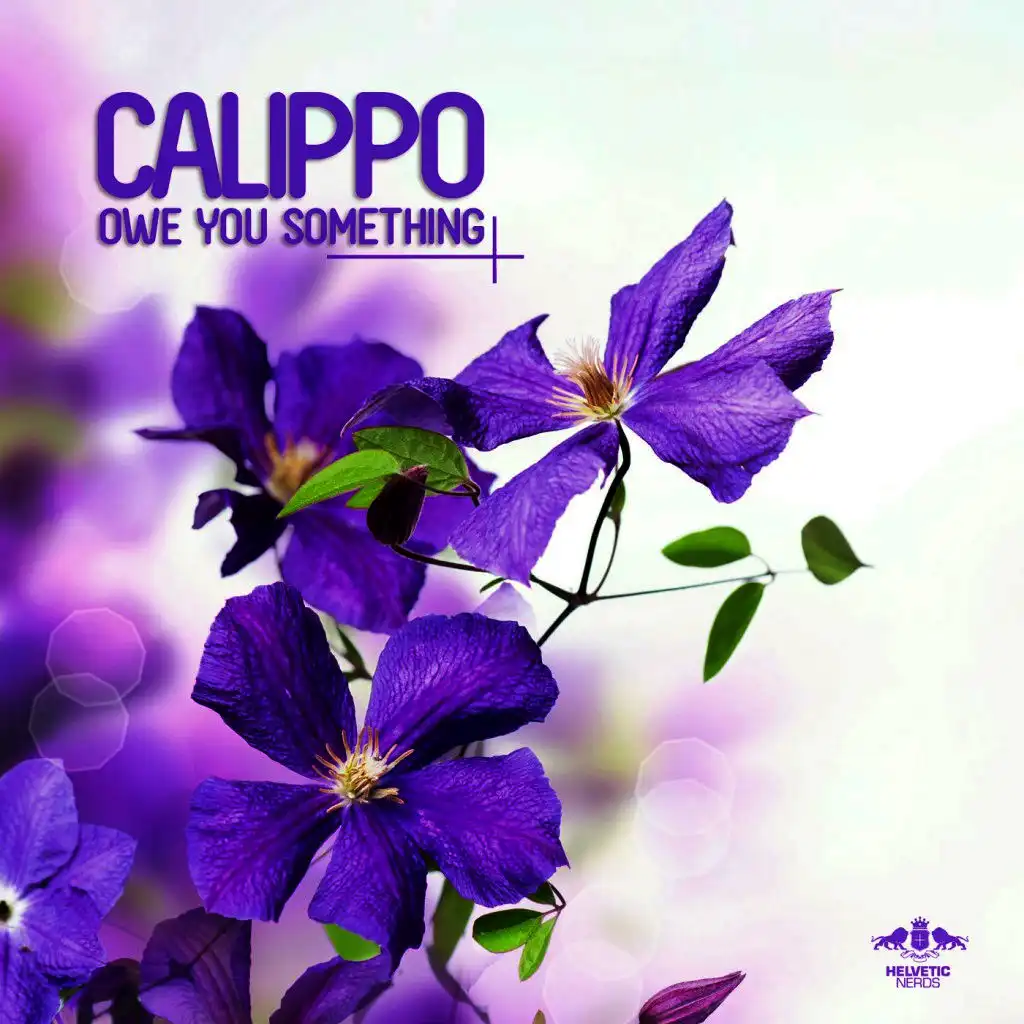 Owe You Something (Me & My Toothbrush Radio Mix)