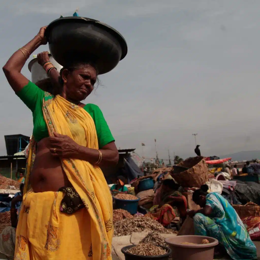 Global Ripples as U.S. Tariffs Hit a Small Creature: the Shrimp