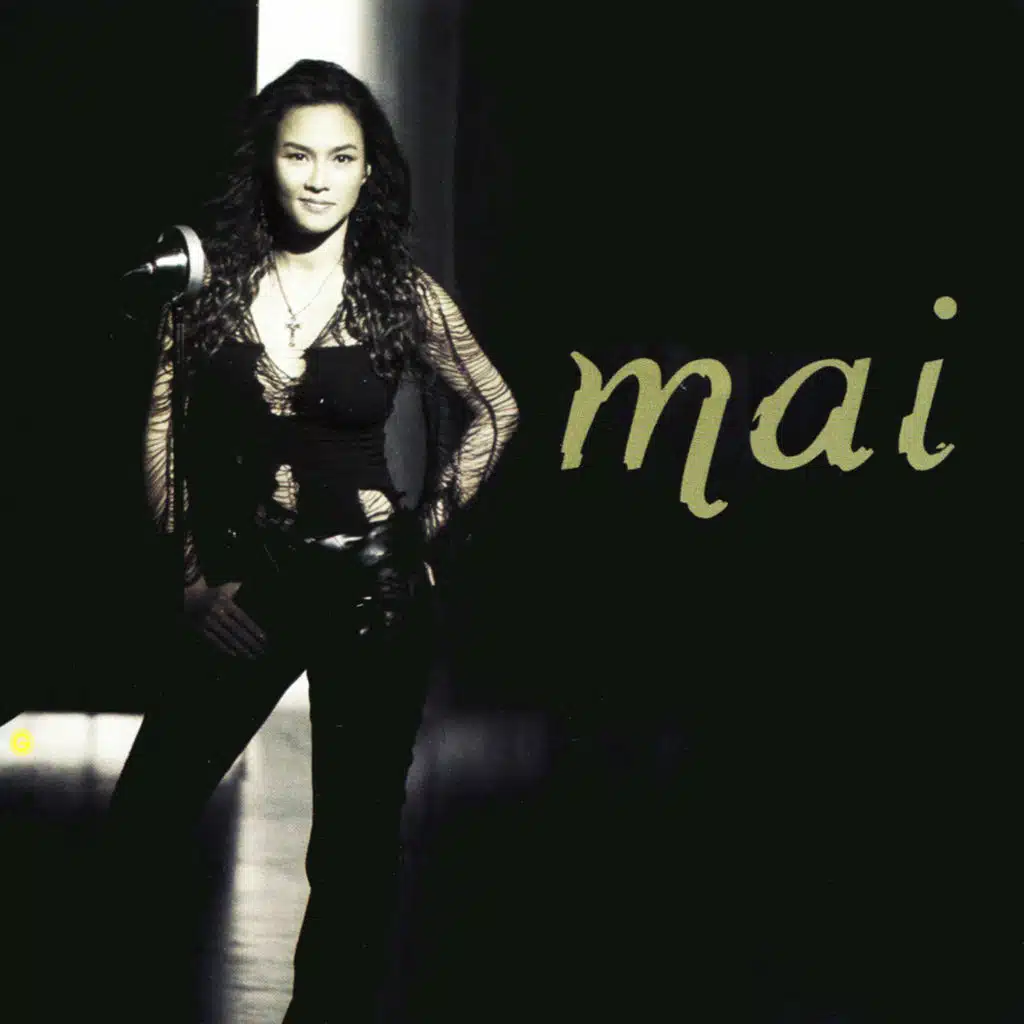 ใครสักคน (Remix Version)