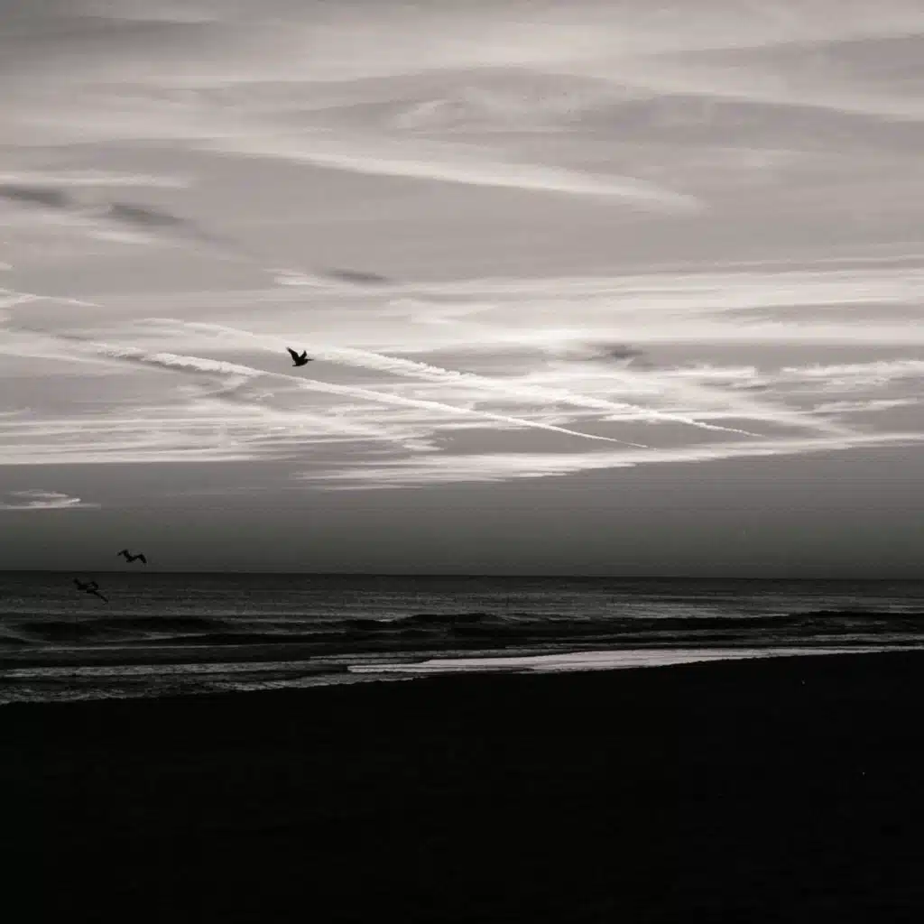 OrionFellas, Sergiopí & João Donato