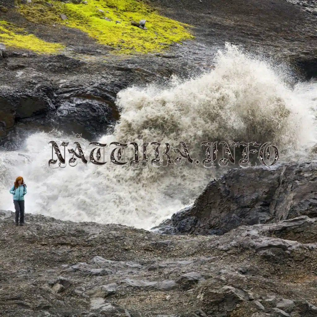 Björk Guðmundsdóttir & Thom Yorke