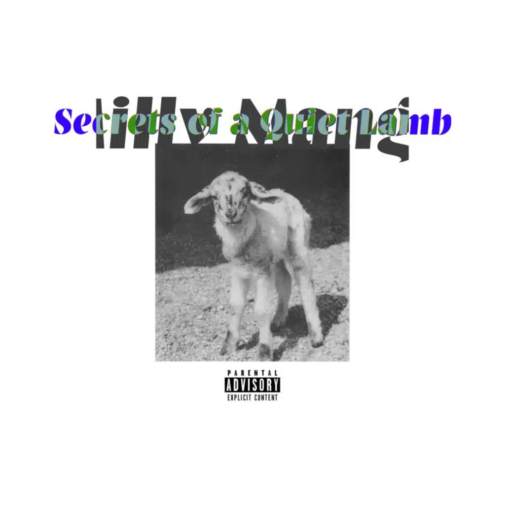 Secrets of a Quiet Lamb