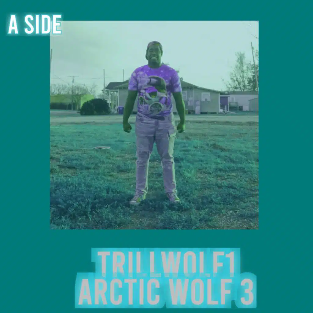 Arctic Wolf 3: A Side