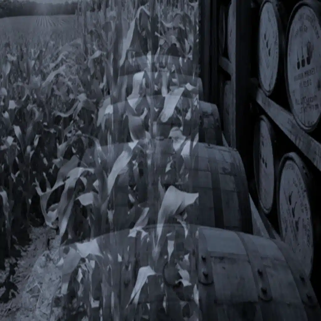 Cornfields to Bourbon Barrels