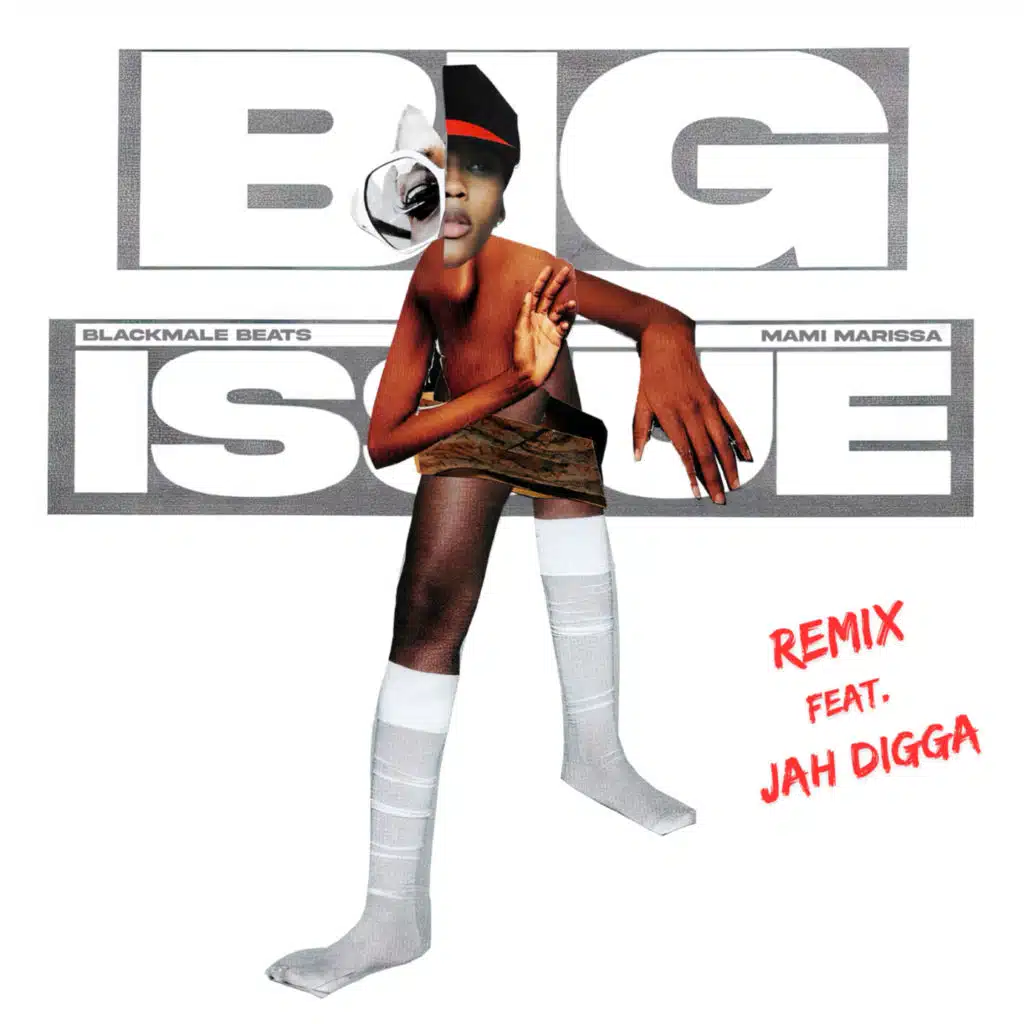Big Issue (Remix) [feat. Jah Digga]