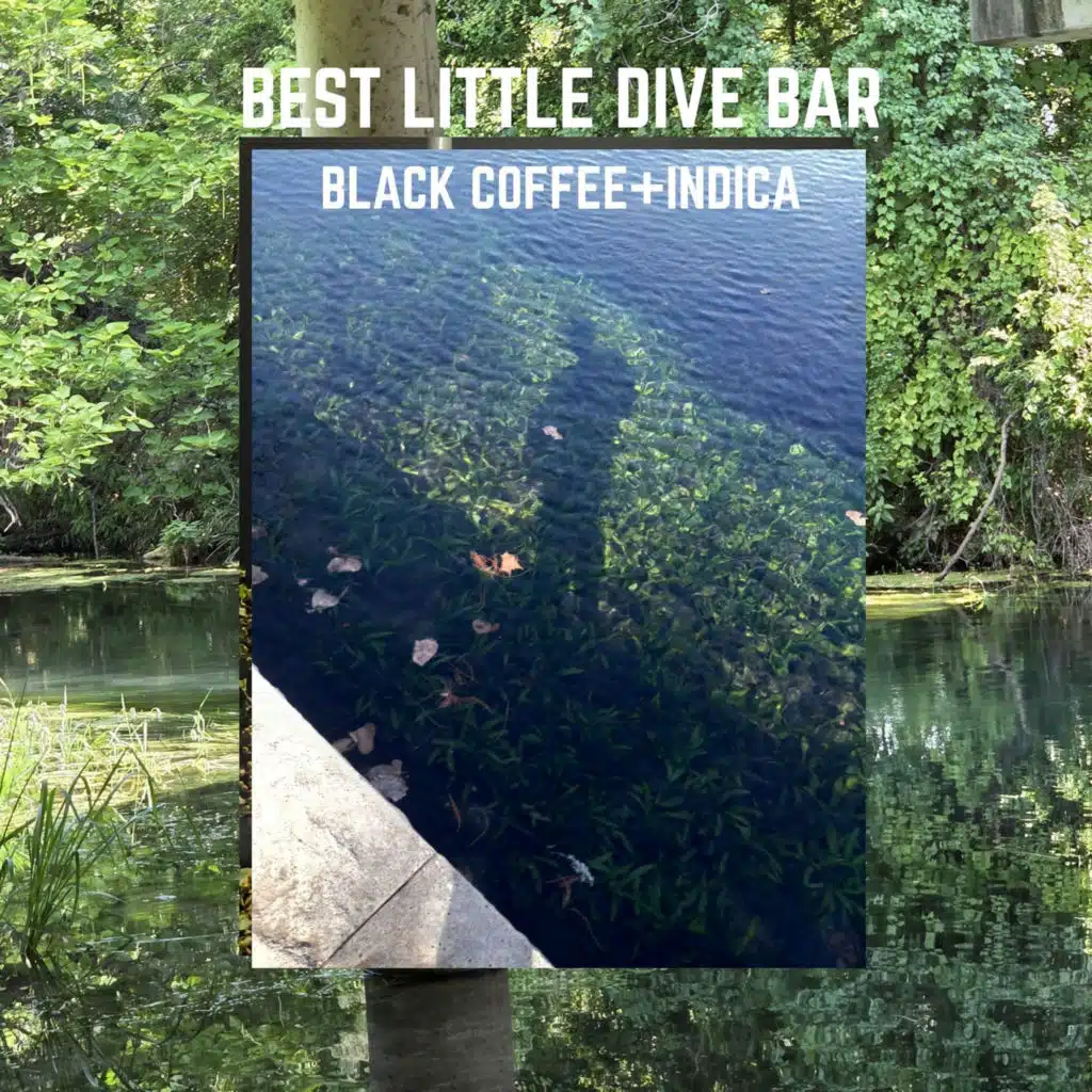 Black Coffee + Indica