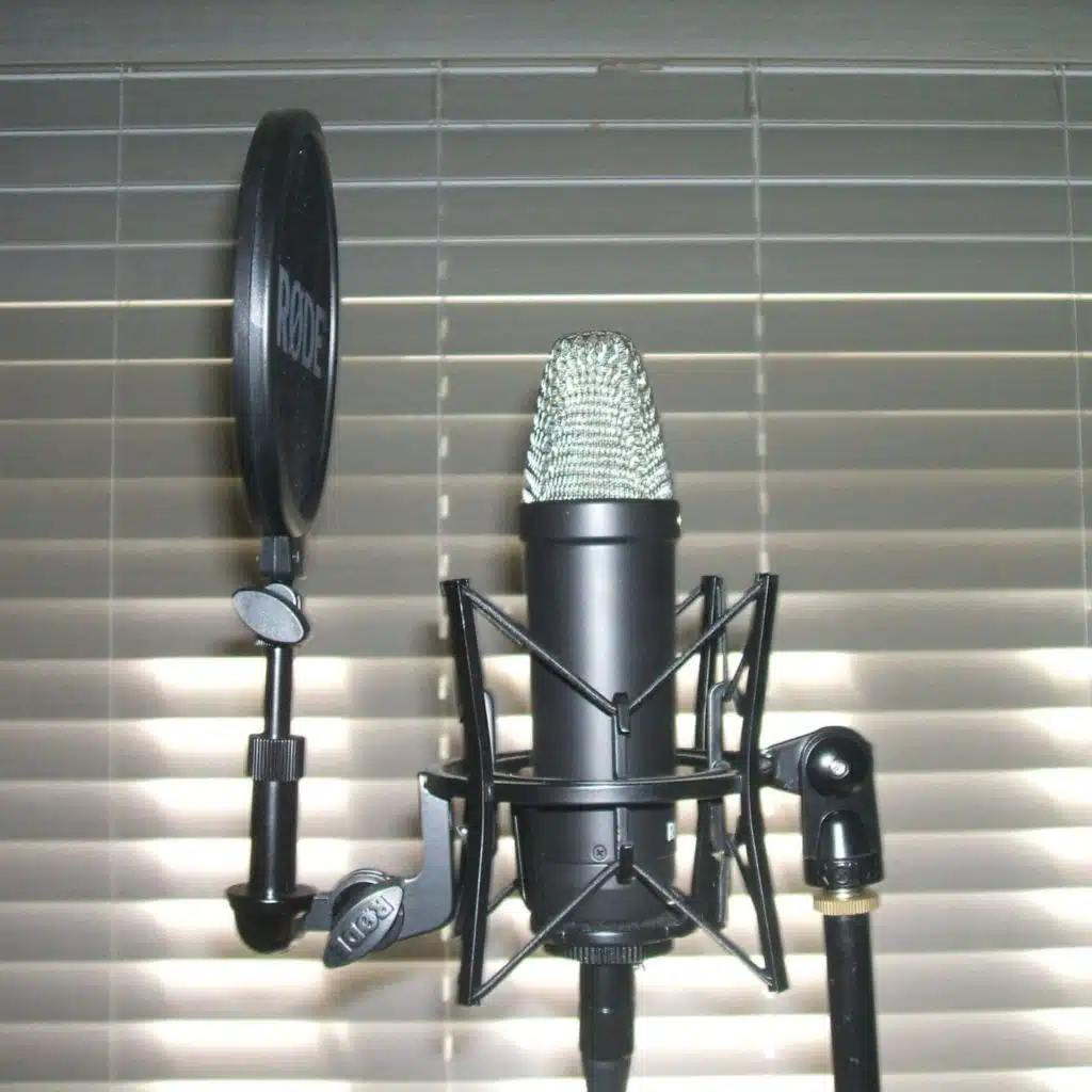 Us Infront Of A Microphone