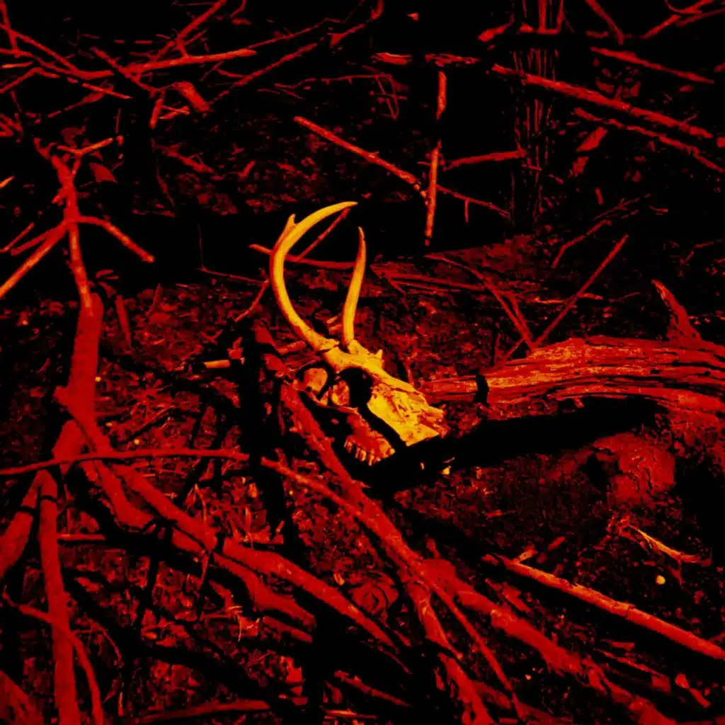 NIGHTMARES OF THE TUMOR