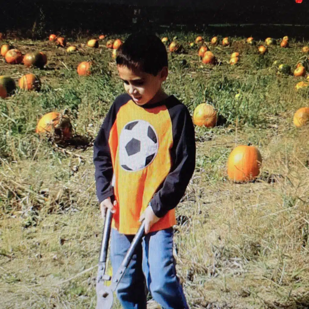 MOOD FLIPS