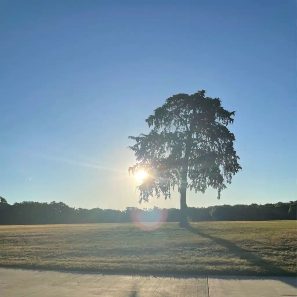 Inspire Hour Podcast-Whole Woman Living - Made with Calliope