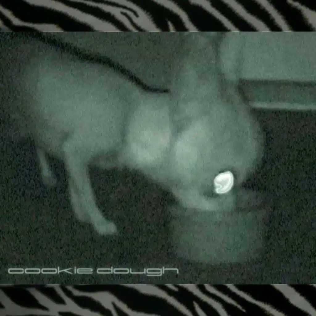 cookie dough (feat. RiCK!)