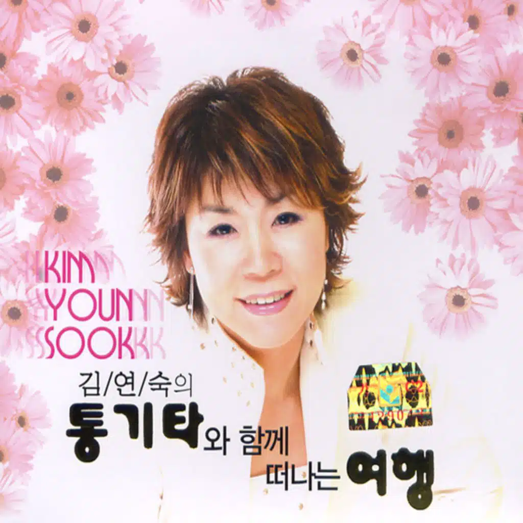 A Journey with an Acoustic Guitar