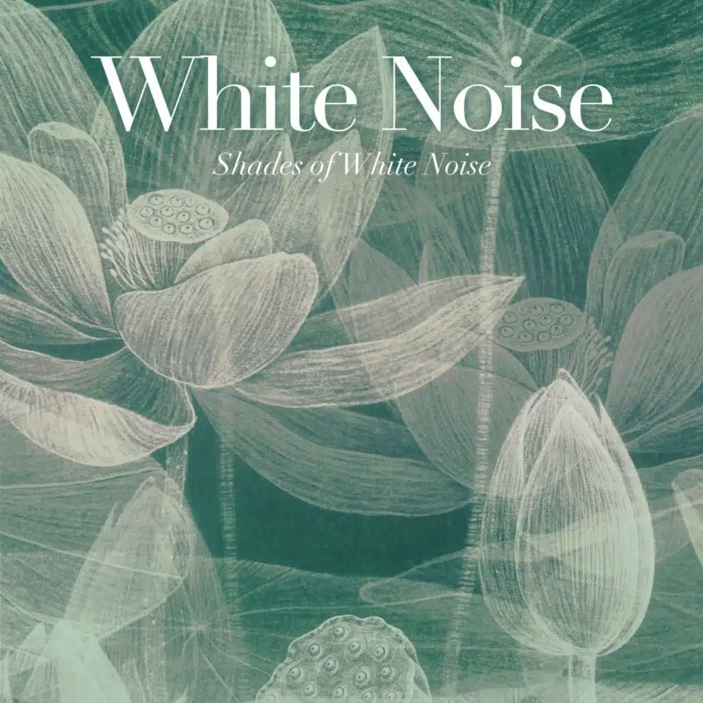 White Noise (Soft Ambient Noise for Sleep & Focus)