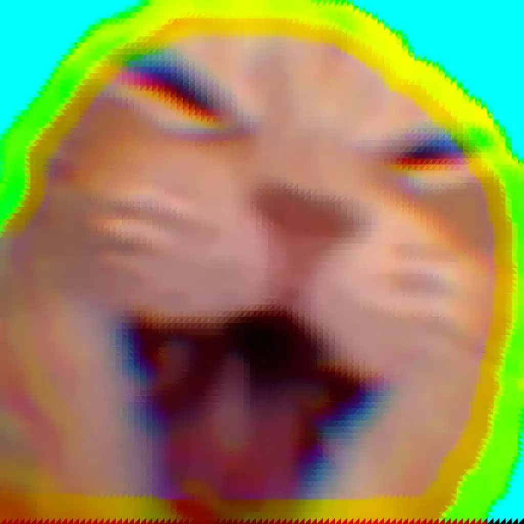 Funny Cat