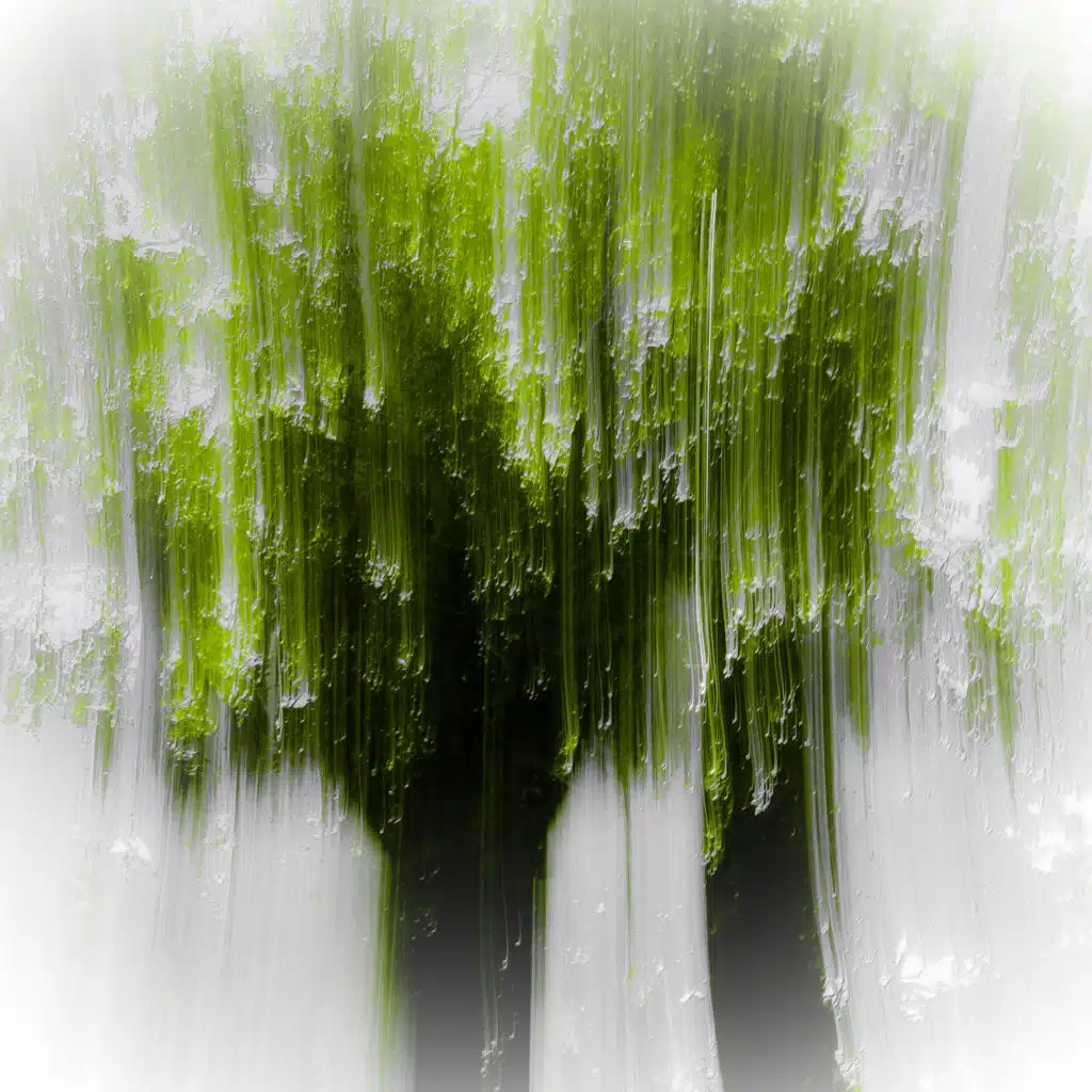 The Voiceless