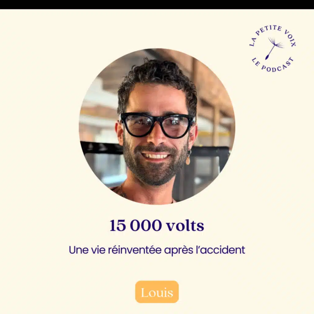 15 000 volts, et alors ?