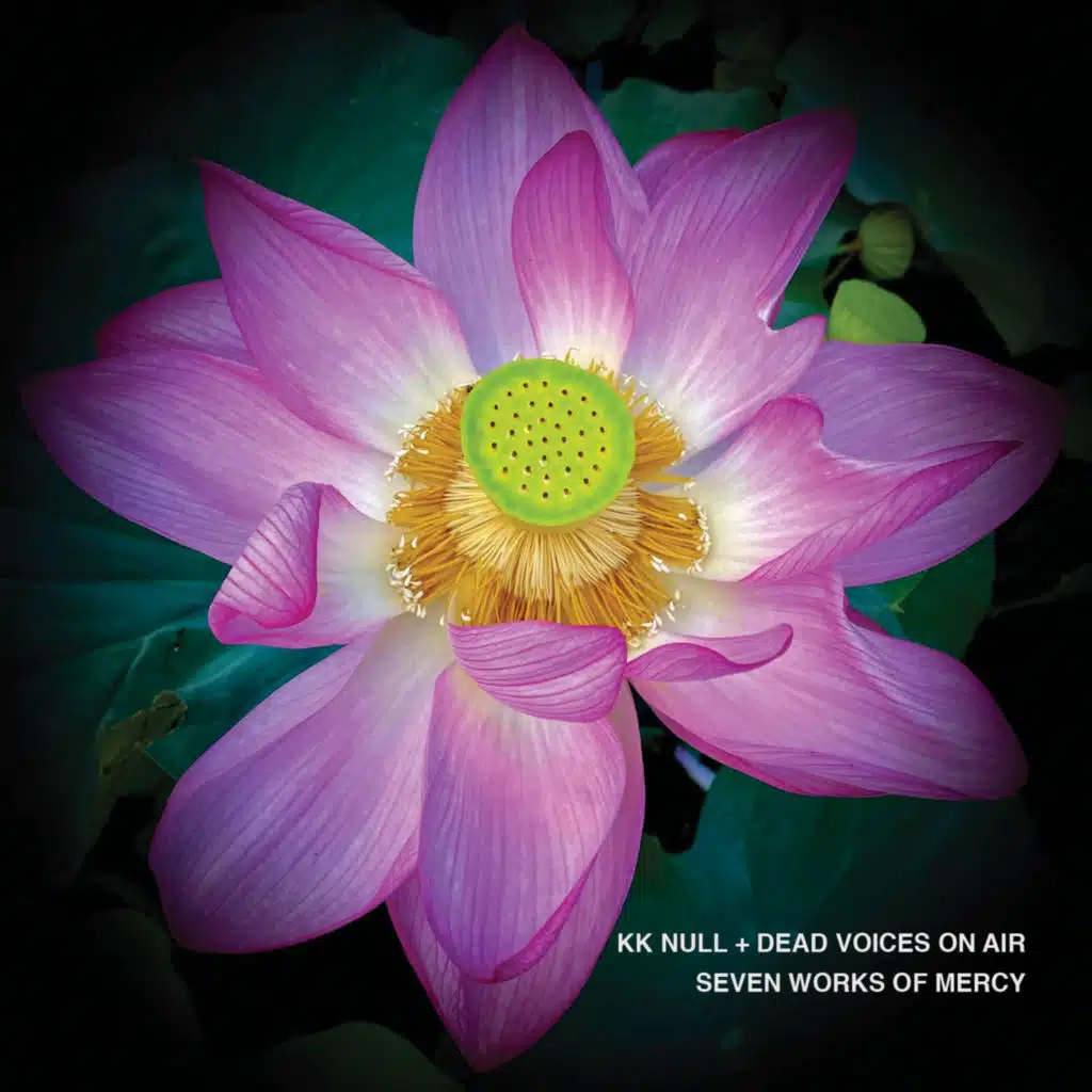 Dead Voices On Air & KK Null